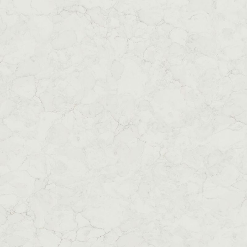 Calacatta Fioressa slab sample