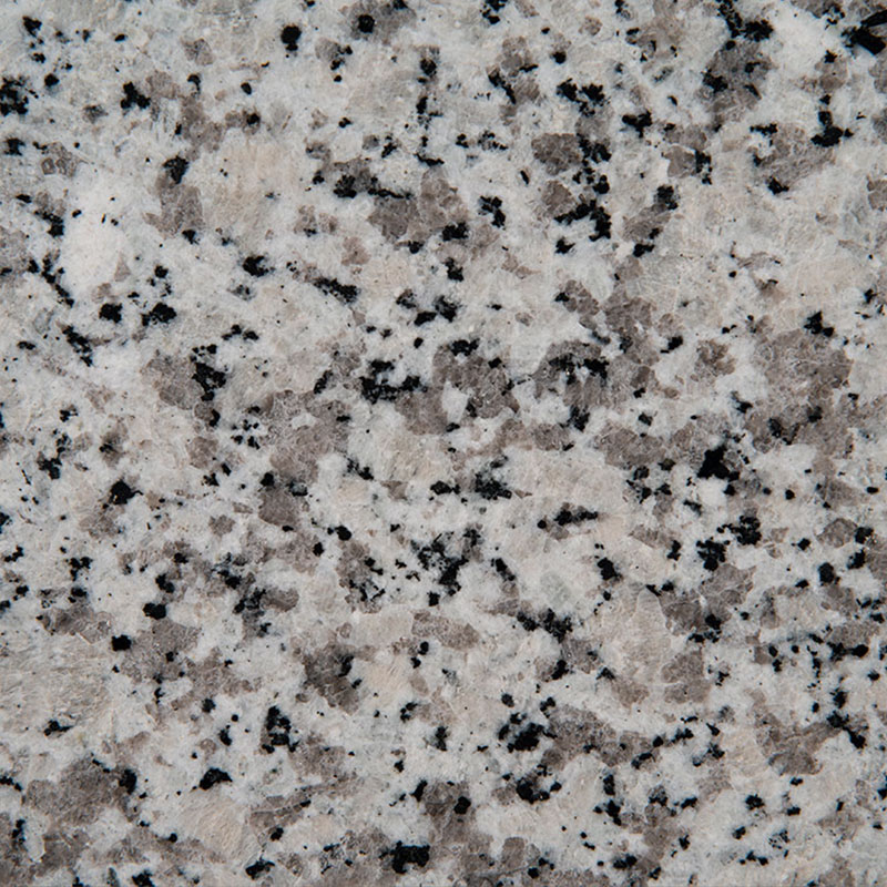 Blanco Taupe slab sample