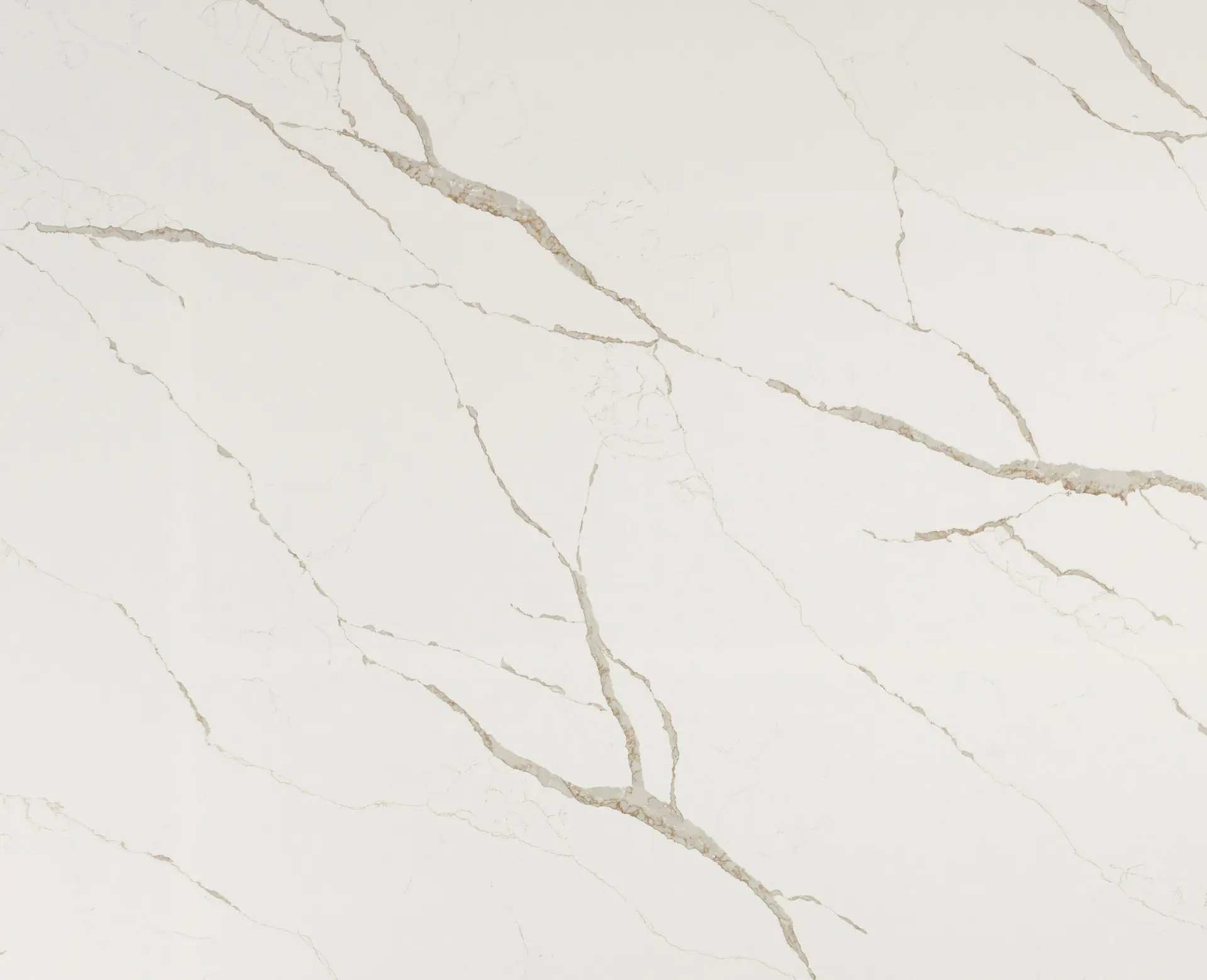 Calacatta Venice slab sample